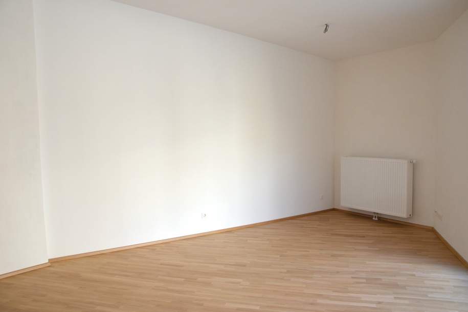 Kompakte Erdgeschoßwohnung *bis 31.08.2031 vermietet*, Wohnung-kauf, 174.492,€, 3512 Krems(Land)