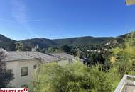 Wohnen zwischen den Schirmföhren mit Blick zum Husarentempel