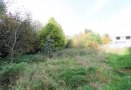 Vom Traum zum Zuhause – 821 m² Lebensfreude in Steinhaus - Grundstück mit vielen Möglichkeiten