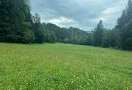 Uriges Bauernhaus in idyllischer Lage mit Wald und Wiesenflächen