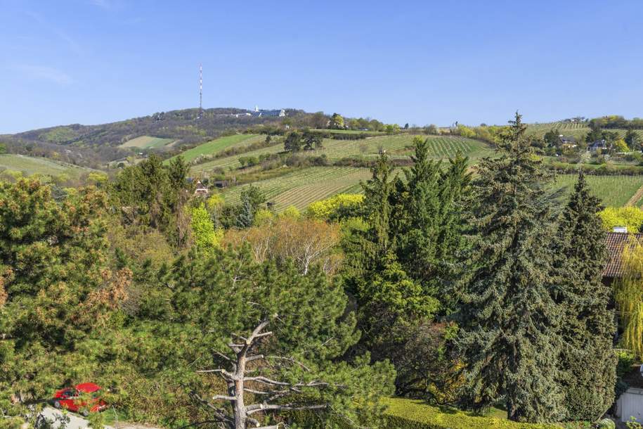 Penthouse mit Blick in die Weinberge, Wohnung-kauf, 1.990.000,€, 1190 Wien 19., Döbling