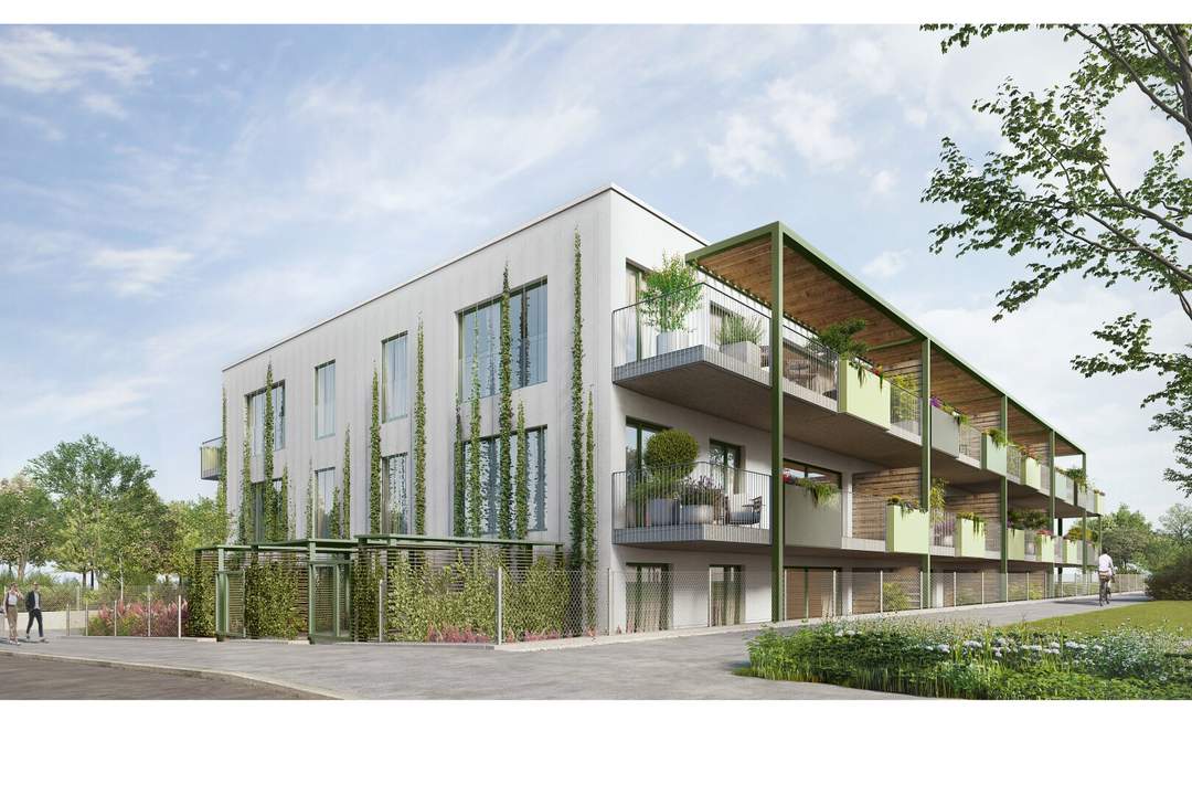 Midori Living - Kunst des Wohnens