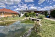 Ruheoase mit Schwimmbiotop in Eggendorf zwischen Baden und Wiener Neustadt!