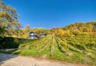Exklusives Traumhaus zur Miete mit Panoramablick auf die Weinberge