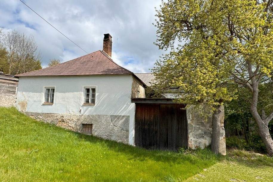 Ehemalige Mühle mit großem Grundstück, Haus-kauf, 95.000,€, 3623 Zwettl