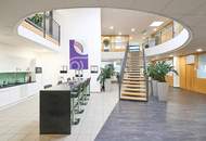 Kombination Lagerhalle 450 m2 mit Büro 166 m2 in Wiener Neudorf