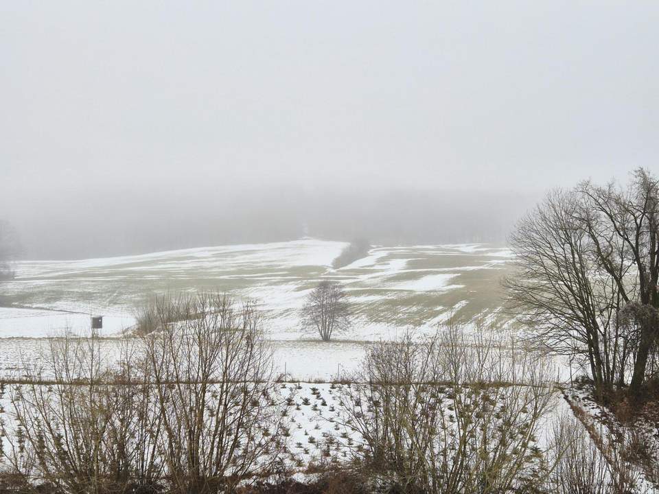 ACKERFLÄCHE &amp; WIESE Teil 1