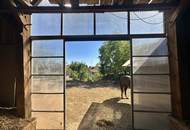 Leben, Wohnen, Reiten – Ihr eigenes Paradies im Weinviertel!