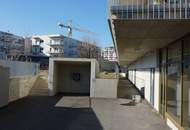 Aufblühen in Reininghaus