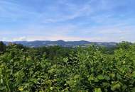 Sonniges Baugrundstück mit Aussicht im Naturpark Pöllauer Tal - nahe Hartberg