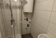 WELS | NEUSTADT: Top-renovierte 2-Zimmer-Wohnung mit Weitblick über die Dächer von Wels!