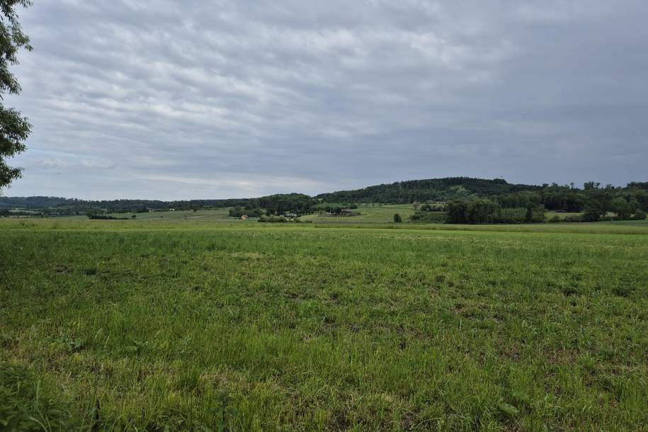 Landwirtschaftlicher Nutzgrund Acker Fraham, Grund und Boden-kauf, 299.000,€, 4070 Eferding