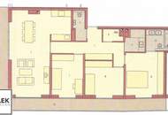 *** Dachgeschoßgenießer aufgepasst *** 4 Zimmer zentral begehbar in der Zieglergasse 50 *** - ab 01.08.!