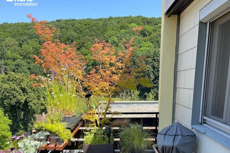 Hier erwartet Sie Ihre Traumwohnung!, Wohnung-kauf, 279.000,€, 2391 Mödling
