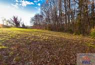 Baugrundstück mit landwirtschaflicher Nutzfläche!