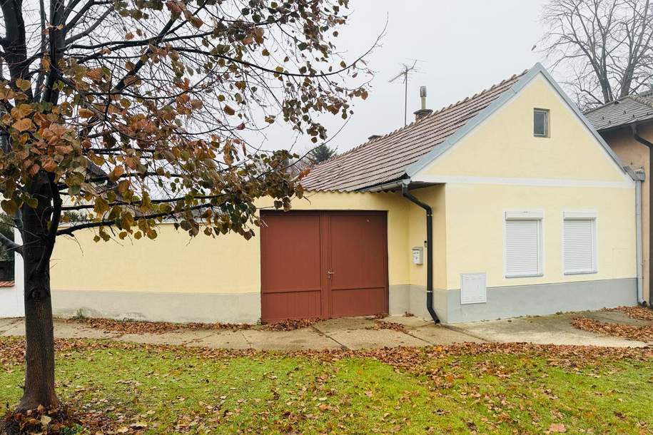 Kleines gemütliches Einfamilienhaus mit Pool, Haus-kauf, 199.999,€, 2425 Neusiedl am See
