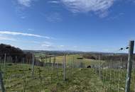 IN SLOWENIEN! Winzerhaus mit Weingarten und Blick bis zum Horizont!
