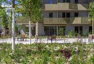 Hirschfeld - Ihr neues Zuhause im Grünen - anfragen, besichtigen, einziehen - 41 bis 96 m²