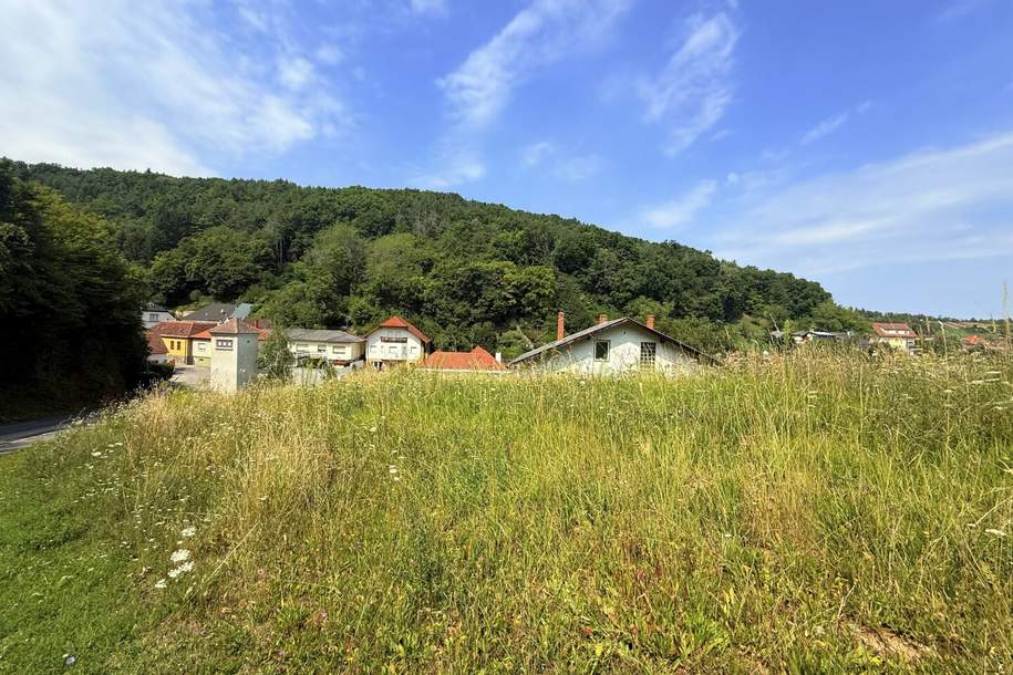 Baugrundstück in idyllischer Lage in Wiesen, Grund und Boden-kauf, 129.000,€, 7203 Mattersburg