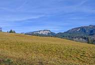 Kleine Landwirtschaft, 7,46 ha, Sonnenlage