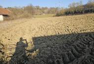 Landwirtschaftliche Flächen &amp; Gutshof