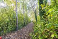 Schwechat - Mannswörth | familienfreundliche Eigentumswohnung | 4 Zimmer | direkt am Nationalpark Donau-Auen!
