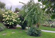 Kleines Paradies in einer idyllischen Kleingartensiedlung