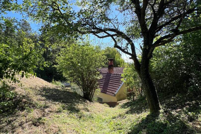 Idyllische Waldrandruhelage, Haus-kauf, 590.000,€, 2551 Baden