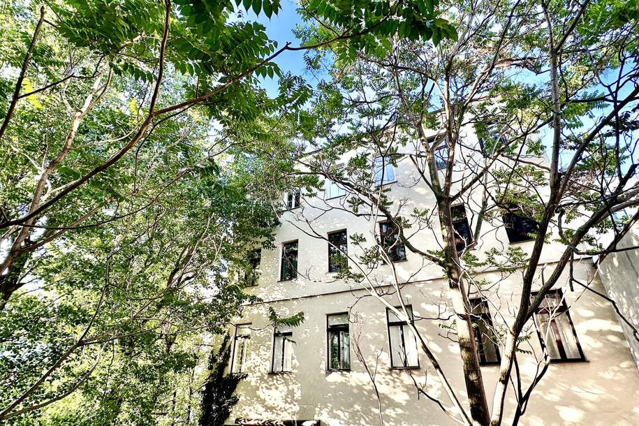 Perfekt aufgeteilte Altbauwohnung mit Grünblick! Zwischen Rochusmarkt und Kardinal Nagl- Platz!, Wohnung-kauf, 375.000,€, 1030 Wien 3., Landstraße
