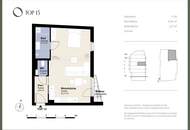 DAS VIVENOT – "ONE ROOM WONDER" MIT BALKON