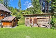 Bad Mitterndorf: Almhütte!! auf Eigengrund mit Nebengebäuden