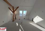 Luxuriöses Penthouse mit historischem Charme und Blick über die Weingärten