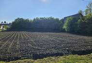 Erstklassiger Bauträgergrund mit durchdachter Planstudie in bester Lage – optimale Voraussetzungen für Ihr Bauprojekt!