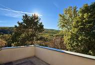 Südwest-Dachterrasse inkl. Blick ins Grüne I 3,20m Raumhöhe I Stellplätze verfügbar I freier Mietzins