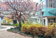 Topsaniert - Geschäftslokal/Praxis/Büro/Atelier mit Freifläche