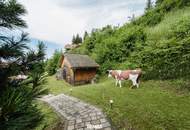 Moderne Anlegerwohnung mit Terrasse und Balkon in traumhafter Berglage auf der Koralpe