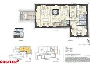 Luxuriöses Penthouse mit historischem Charme und Blick über die Weingärten