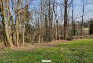 Wald und Wiese
