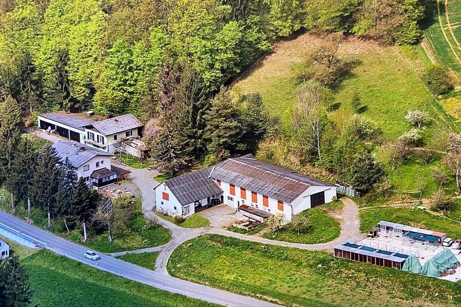 7,5ha Bauernhof mit Wohnhaus, Kellerstöckl, 2 Wirtschaftsgebäuden, Landwirtschaftliche Nutzfläche, Wald, Haus-kauf, 659.000,€, 8344 Südoststeiermark