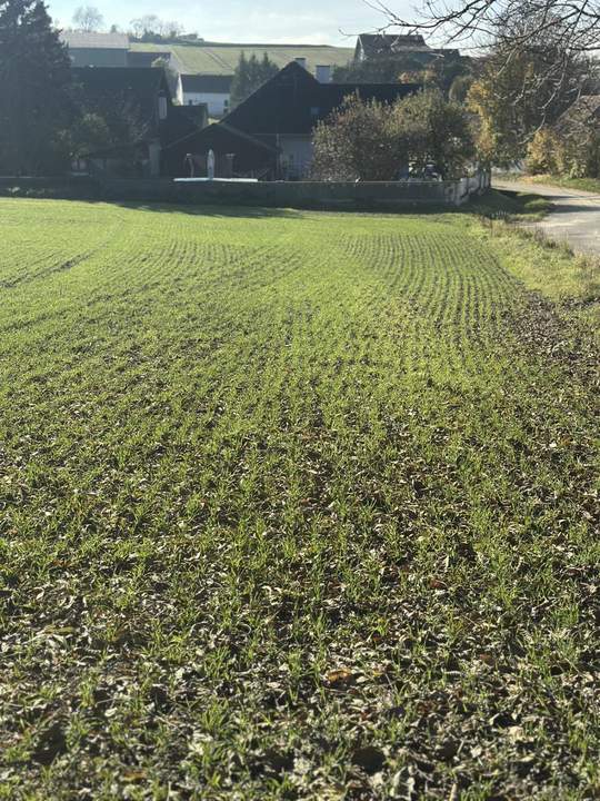 SONNIGE LEBENSQUALITÄT AM LAND FÜR IHR PRIVATES EINFAMILIENHAUS OHNE BAUZWANG