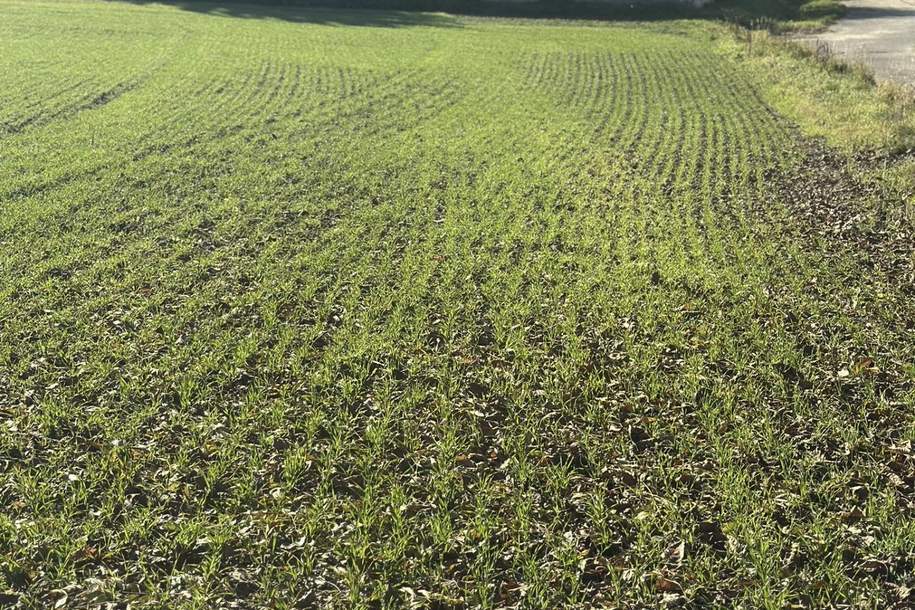 SONNIGE LEBENSQUALITÄT AM LAND FÜR IHR PRIVATES EINFAMILIENHAUS OHNE BAUZWANG, Grund und Boden-kauf, 75.150,€, 3701 Tulln