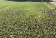 SONNIGE LEBENSQUALITÄT AM LAND FÜR IHR PRIVATES EINFAMILIENHAUS OHNE BAUZWANG