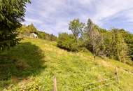 Ankommen und Ausspannen auf 950 m² Naturglück