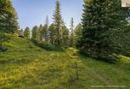 ZWEITWOHNSITZTAUGLICH! Grundstück in idyllischer Lage auf der Turracher Höhe