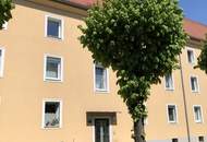 Wohnen zum kleinen Preis! Perfekte Wohnung für junge Familien und Pärchen: Idyllische Grünlage, optimale Infrastruktur, schöne und praktische Raumaufteilung