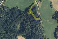 3,7 Ha. Wald in Nestelbach bei Graz zu kaufen