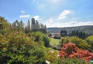 Atriumhaus im Wienerwald mit Indoorpool und Sauna – preisgekrönte Architektur, nur 20 Minuten von Wien