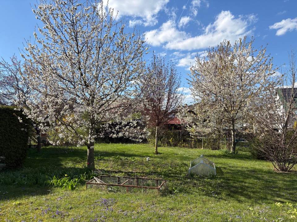 "PREISREDUKTION – Familientraum mit Obstgarten"