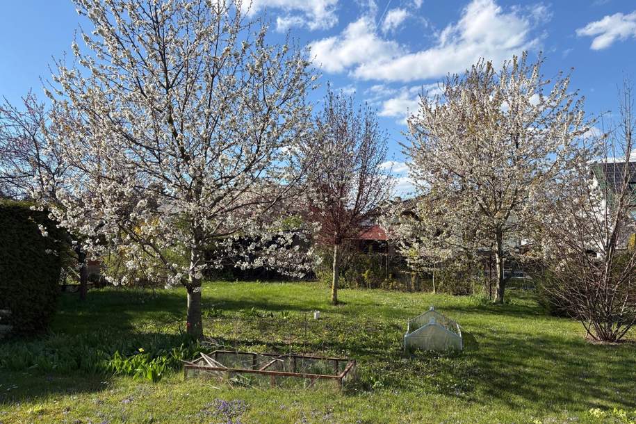 "PREISREDUKTION – Familientraum mit Obstgarten", Haus-kauf, 445.000,€, 3434 Tulln