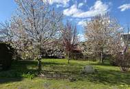 "PREISREDUKTION – Familientraum mit Obstgarten"